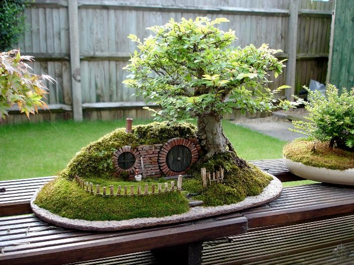 Bag End Bonsai tree landscape