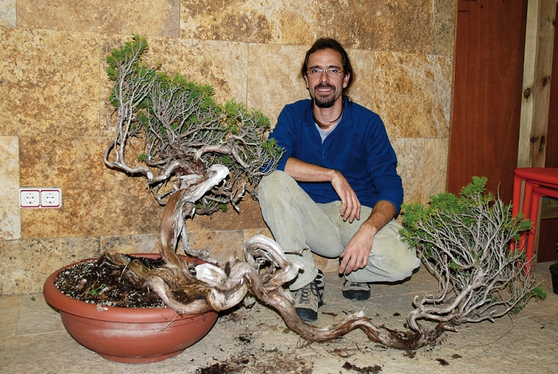 David Benavente bonsai