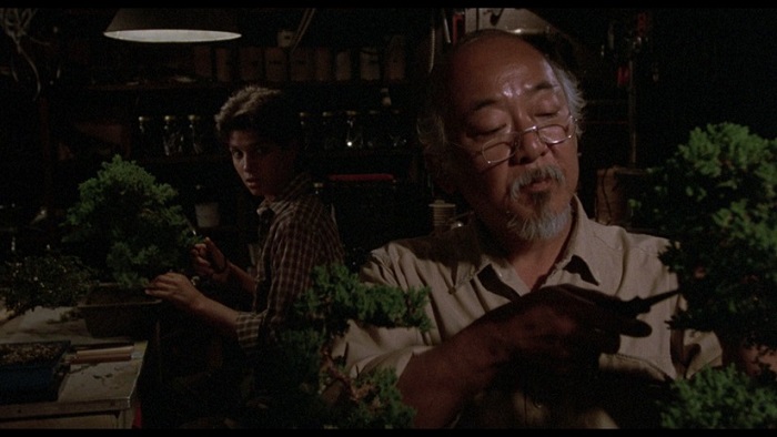 Mr Miyagi styles a Bonsai tree