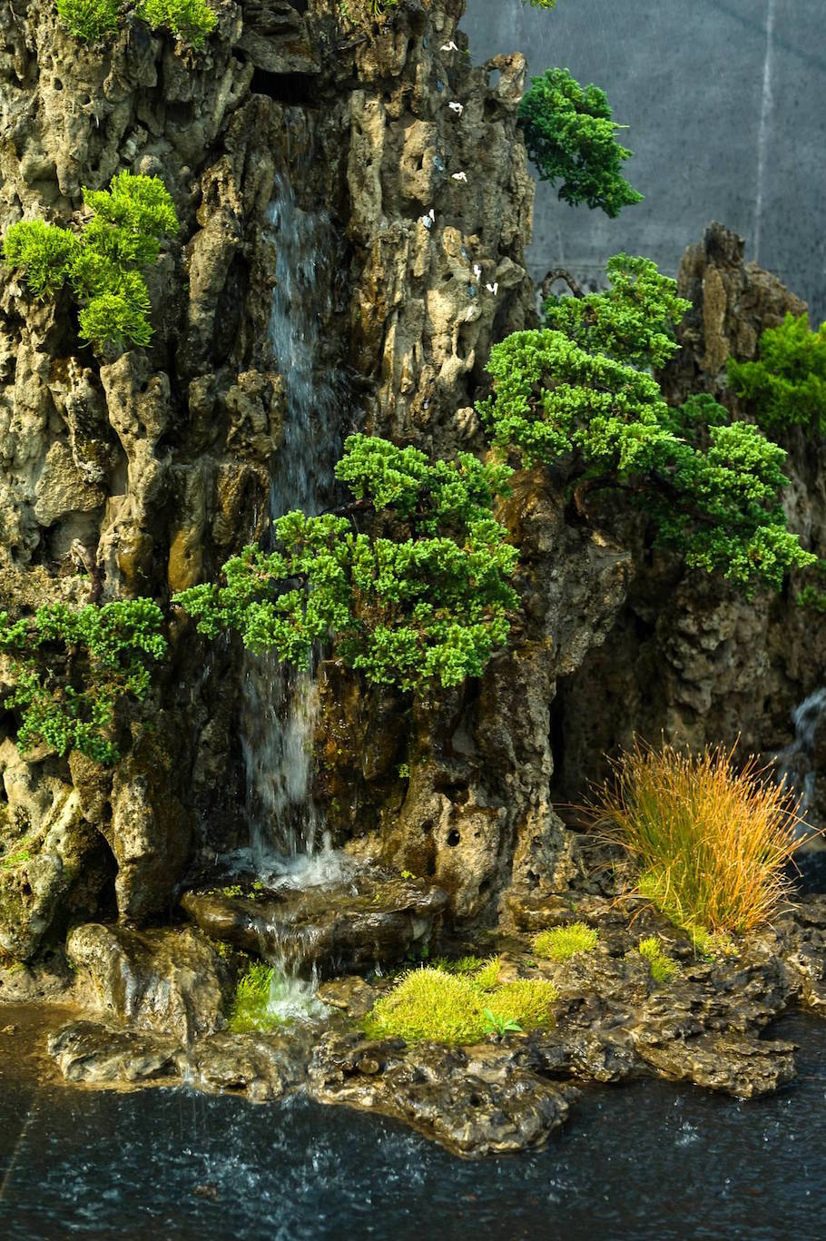 Bonsai landscape from India