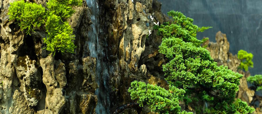 Bonsai landscape from India