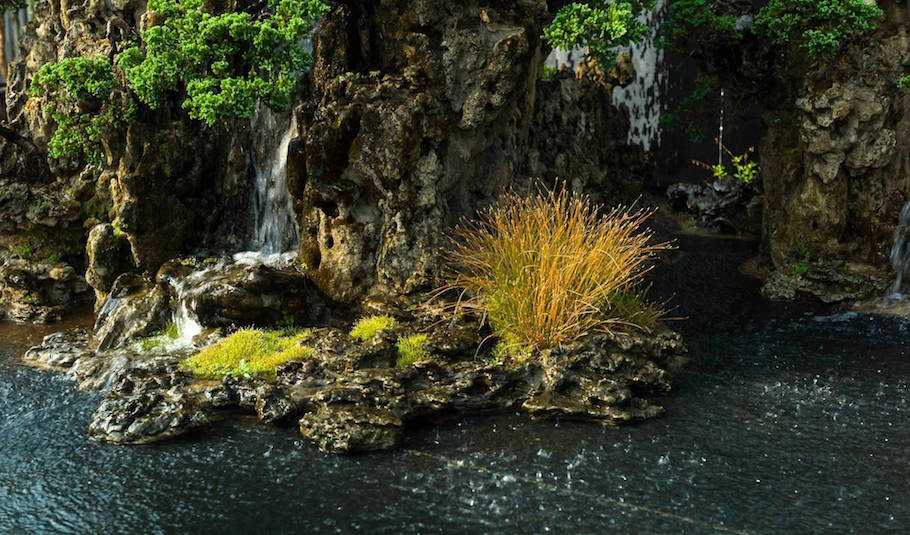 Bonsai landscape from India