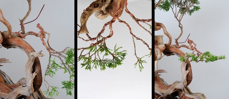 Wiring Bonsai, part 3