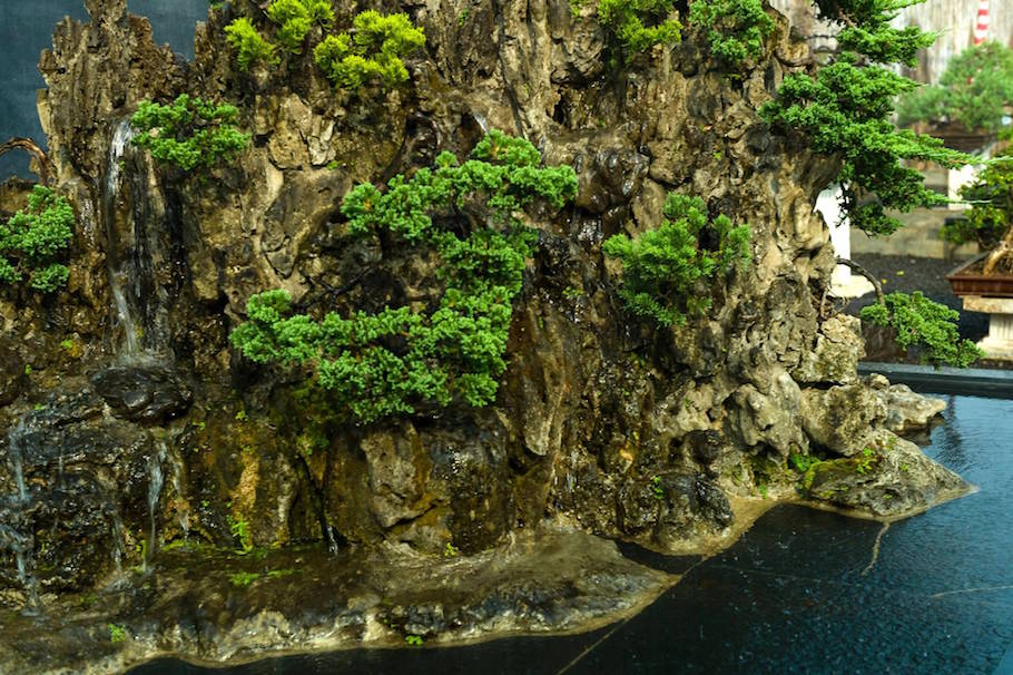 Bonsai landscape from India