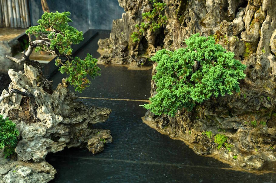 Bonsai landscape from India