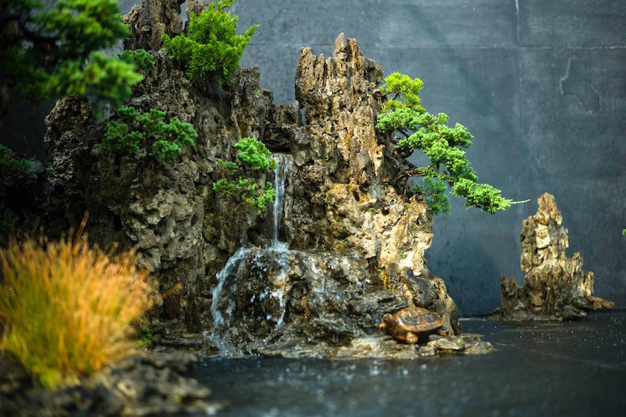 Bonsai landscape from India