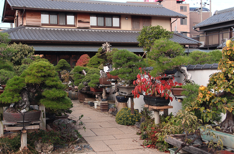 Aichien Bonsai garden