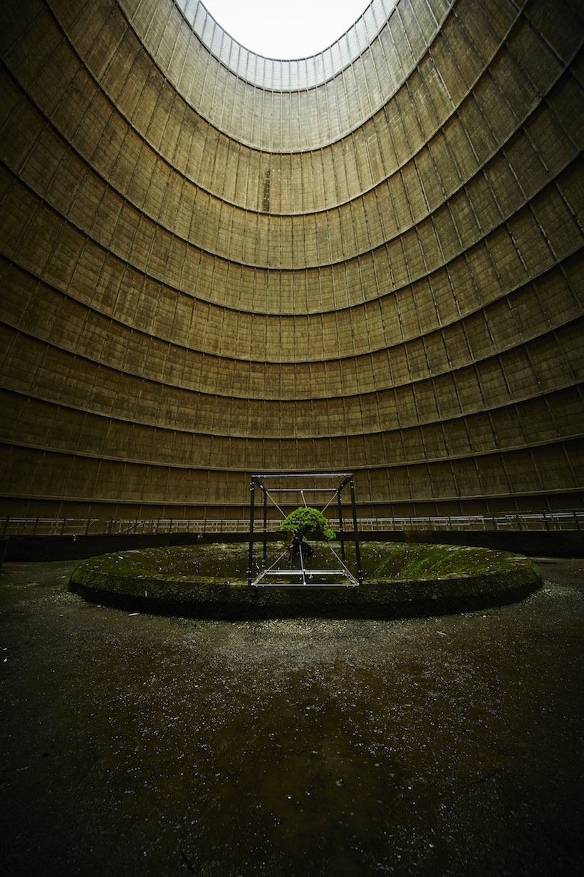 Abandoned Powerplant bonsai display