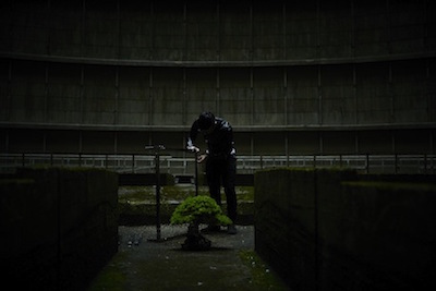 Abandoned Powerplant bonsai display