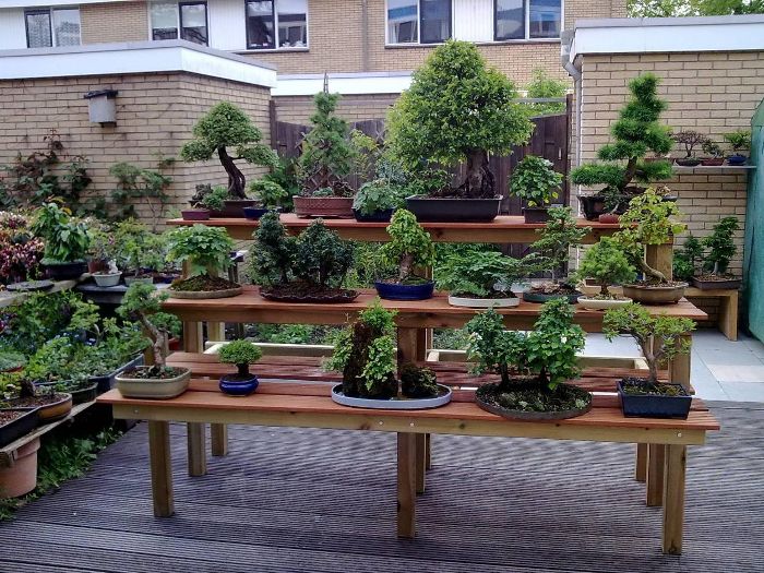 Bonsai Bench by Jeremy Norbury