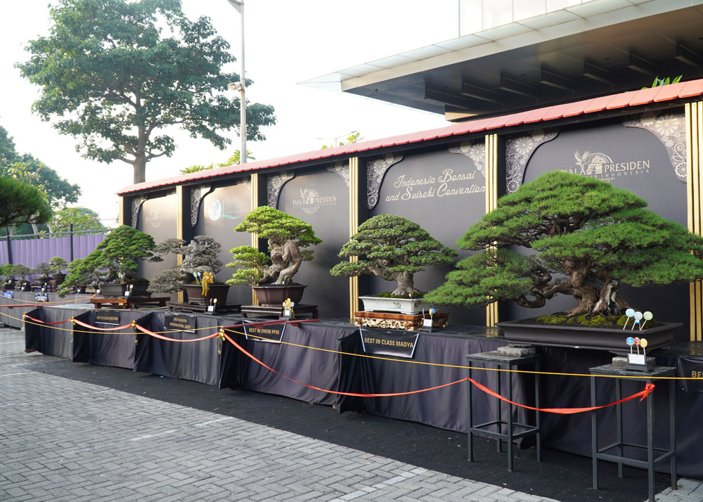 PPBI and WBFF Bonsai exhibition