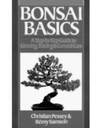 Bonsai basics