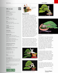 Bonsai Focus magazine