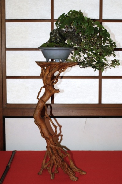 Bonsai rootstand