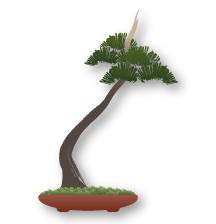 Bunjingi (literati) Bonsai style