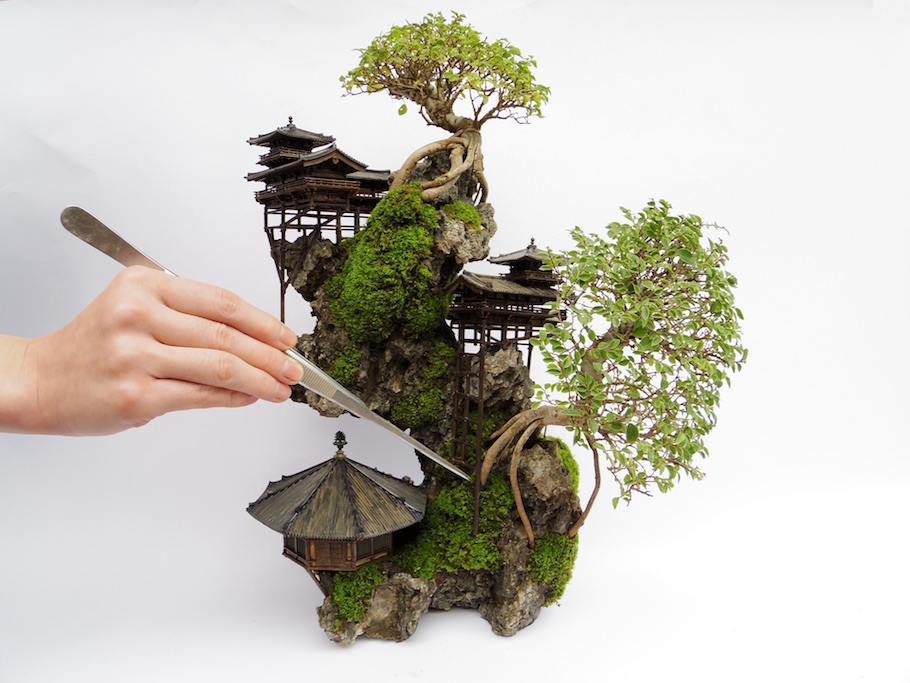 Cliff Bonsai tree, miniature landscape