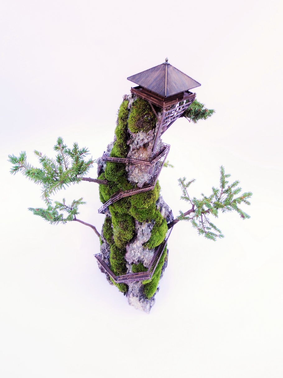 Cliff Bonsai tree, miniature landscape