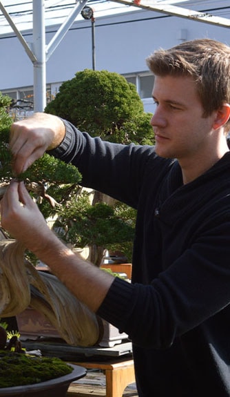 Bonsai Intermediate Course