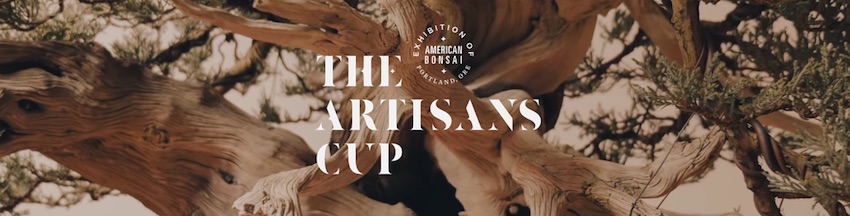 Artisans Cup 2015