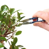 We use a leaf cutter, but you can also use a normal twig shear.