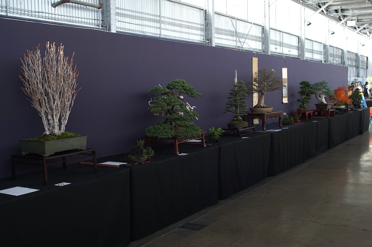 Pacific Bonsai Exhibition 2022