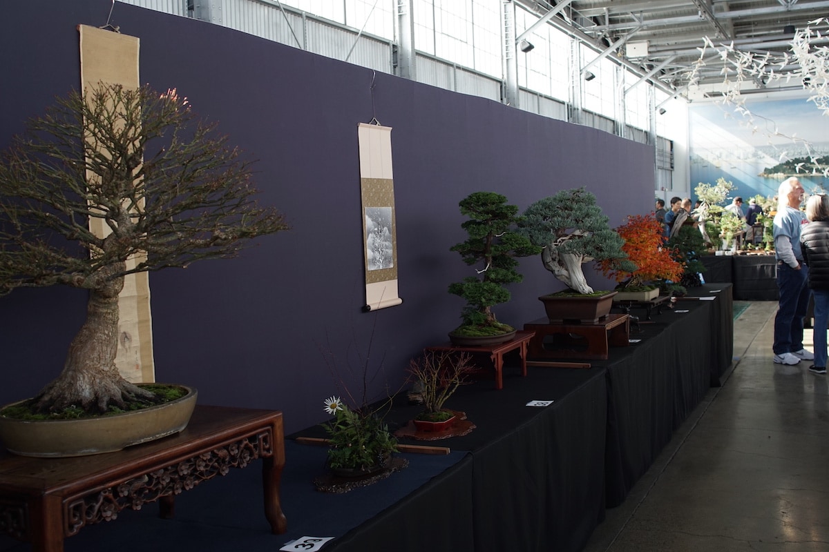 Pacific Bonsai Exhibition 2022