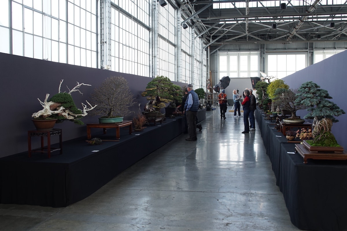 Pacific Bonsai Exhibition 2022