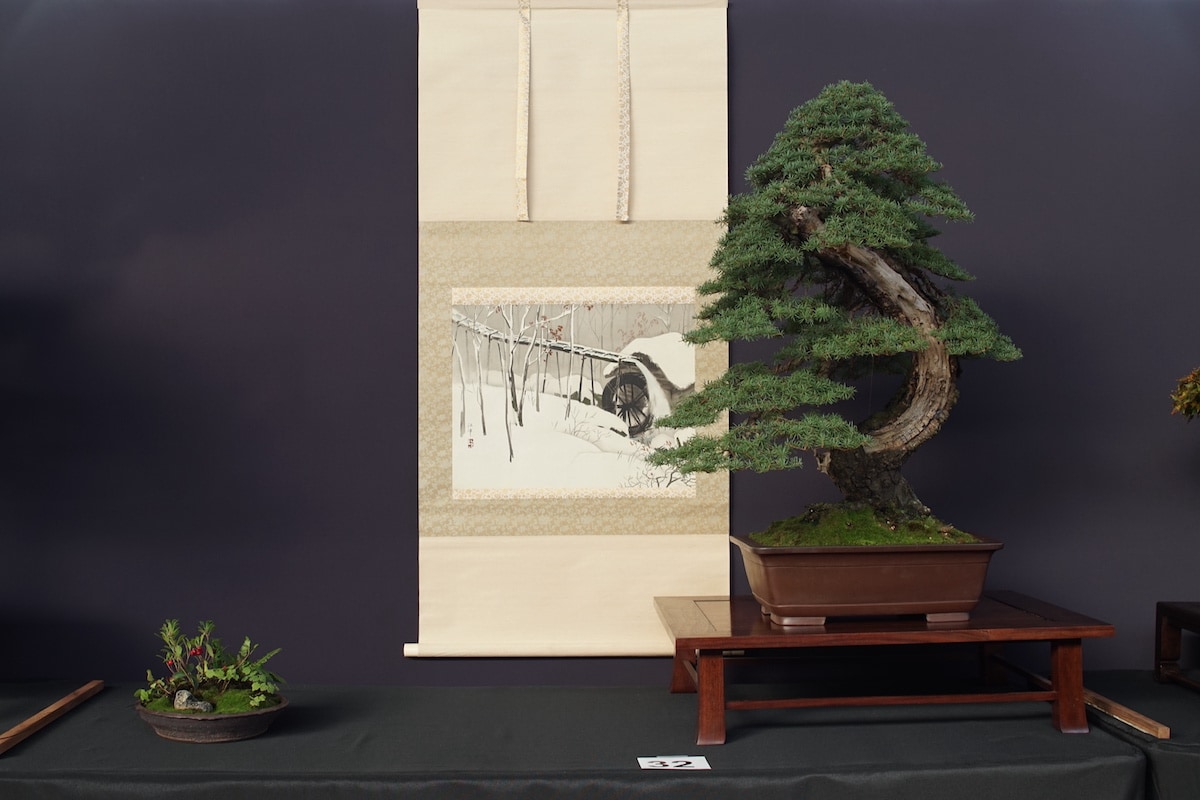 Pacific Bonsai Exhibition 2022