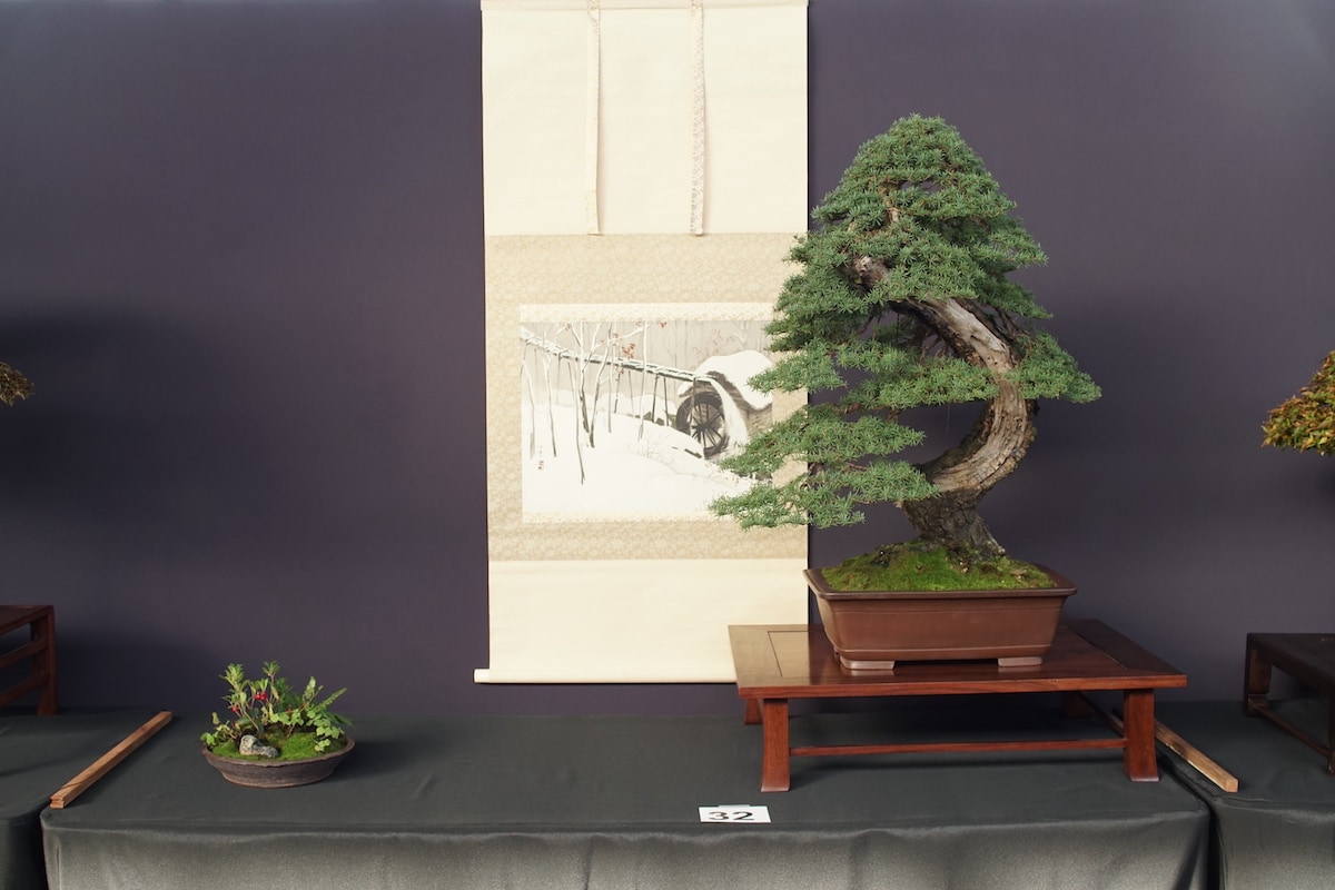 Pacific Bonsai Exhibition 2022