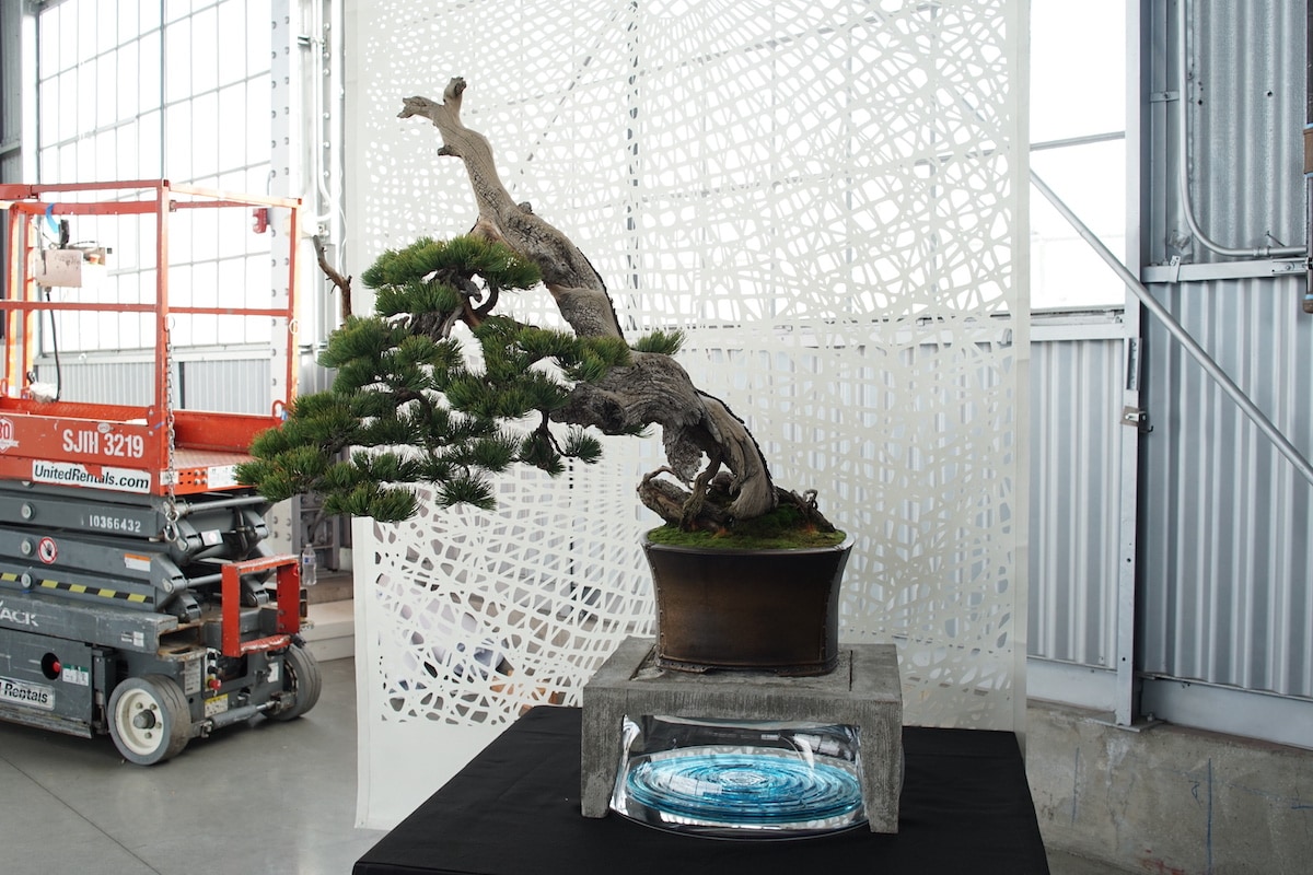 Pacific Bonsai Exhibition 2022