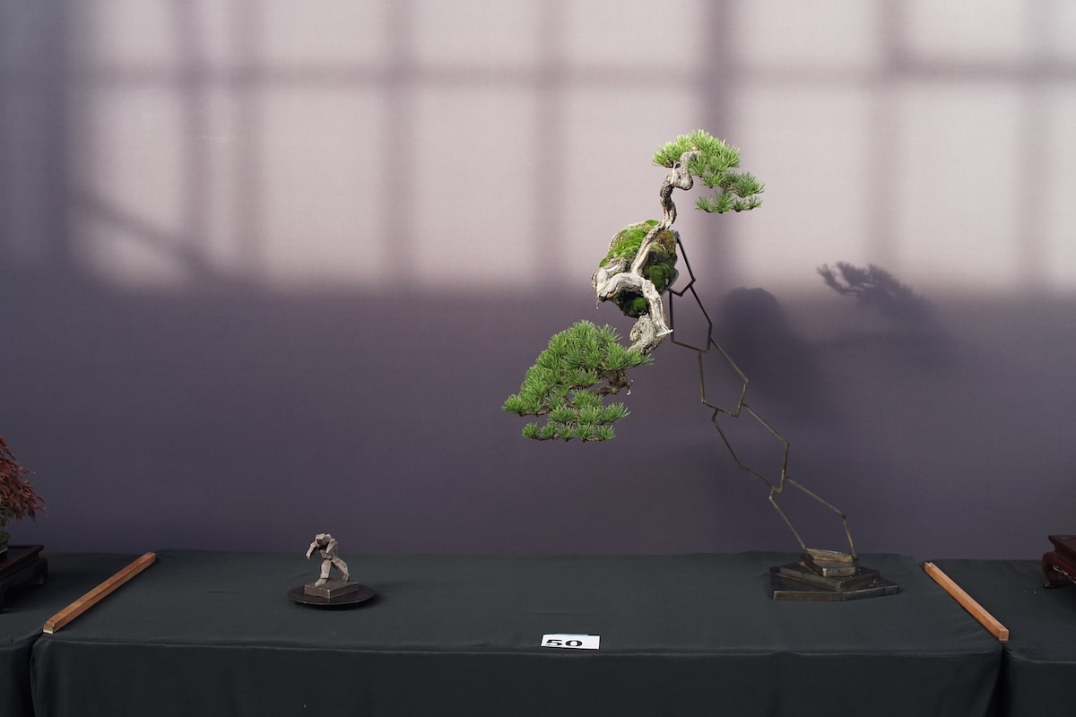 Pacific Bonsai Exhibition 2022