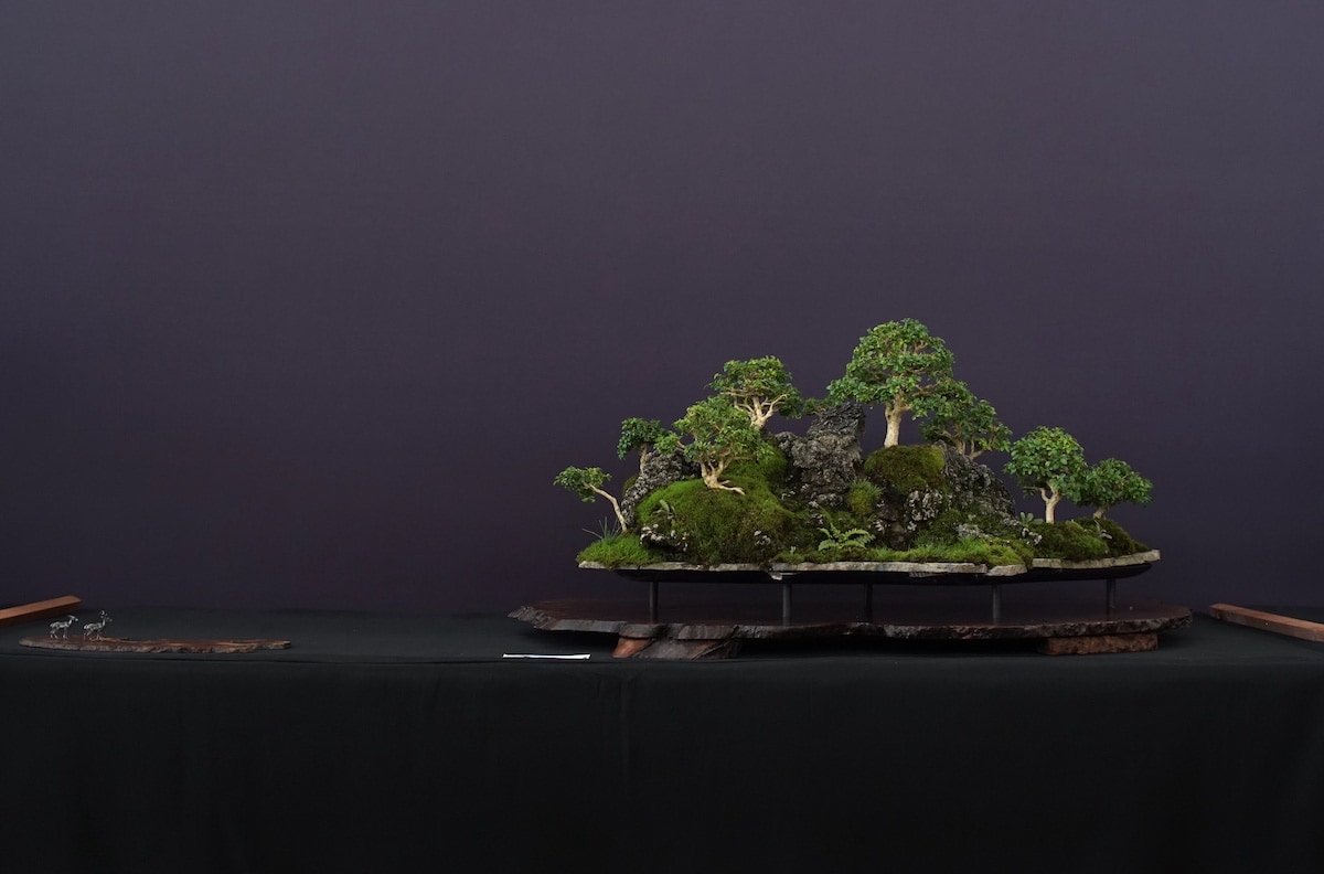 Pacific Bonsai Exhibition 2022