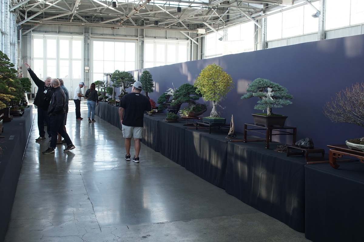 Pacific Bonsai Exhibition 2022