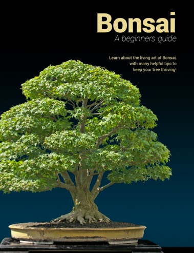 Bonsai eBook