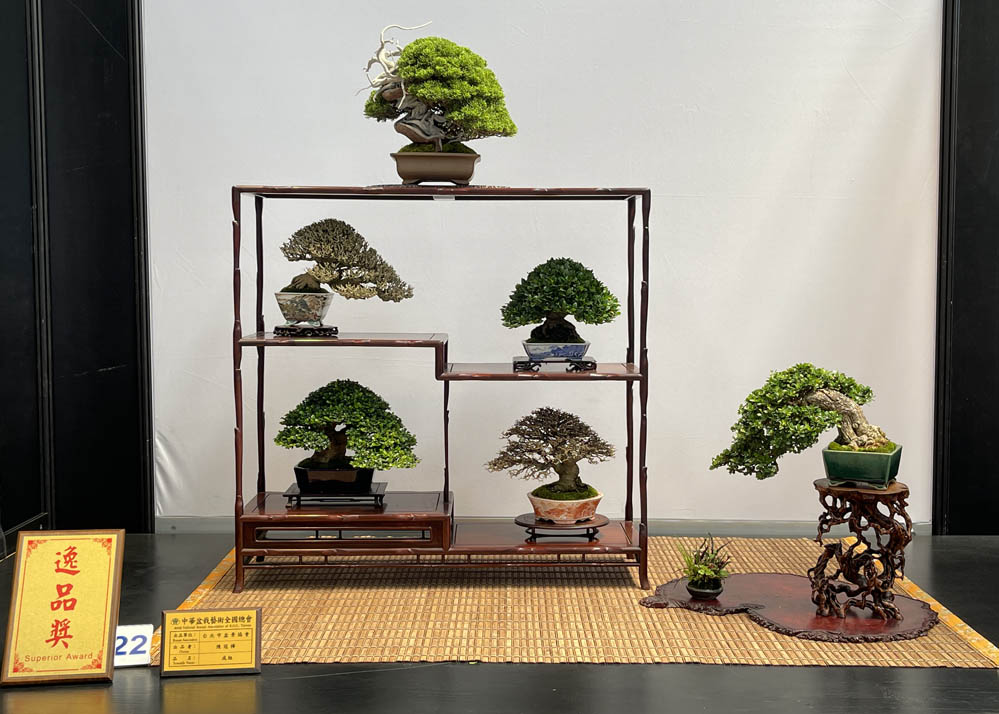 Hwa Fong Bonsai Exhibition, Taiwan 2022