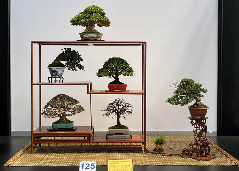 Hwa Fong Bonsai Exhibition, Taiwan 2022