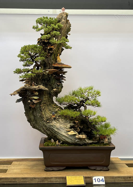 Hwa Fong Bonsai Exhibition, Taiwan 2022