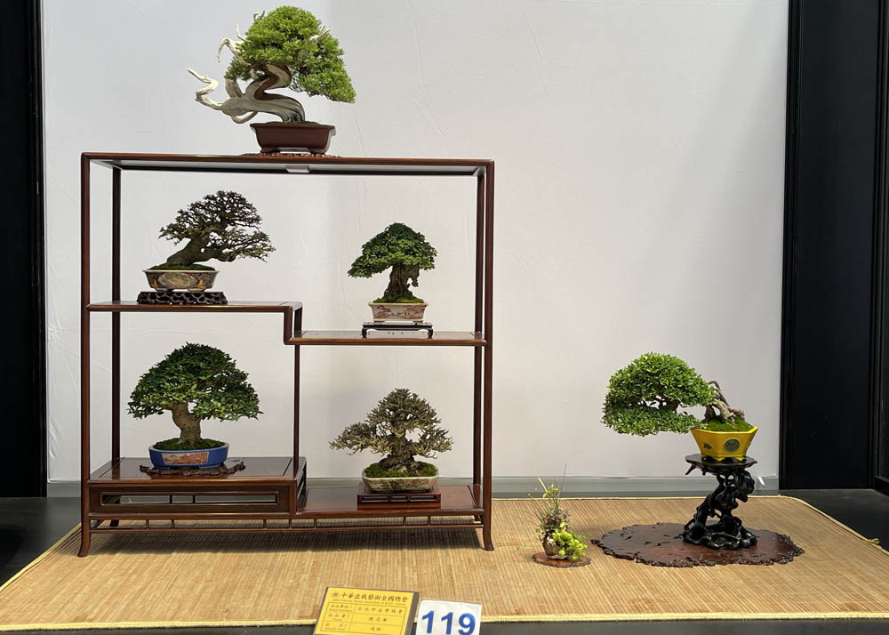 Hwa Fong Bonsai Exhibition, Taiwan 2022