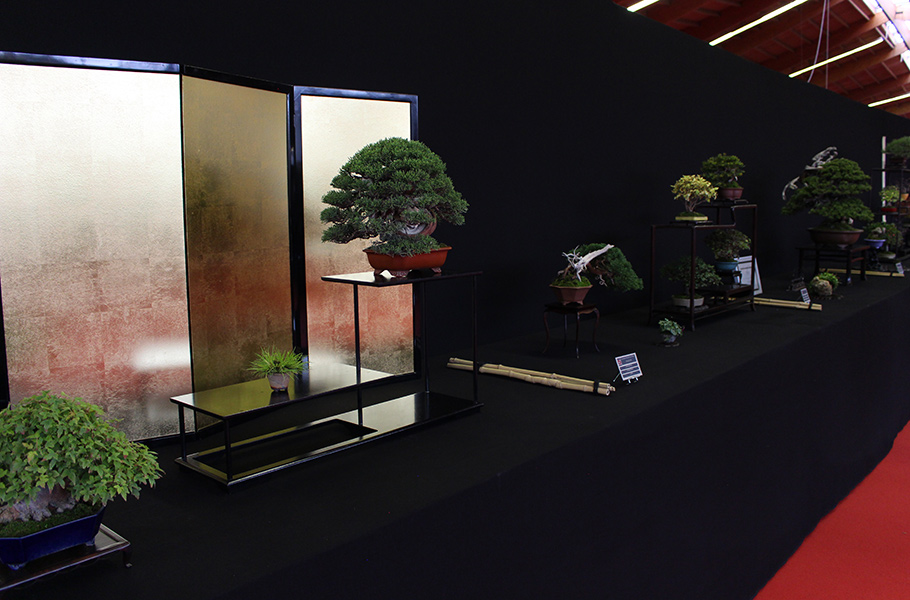 Bonsai san show