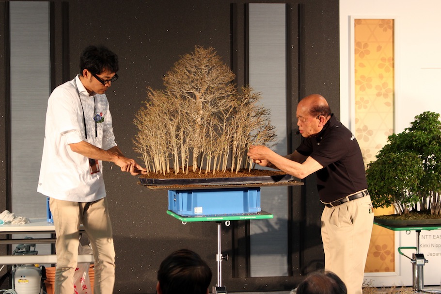 World Bonsai Convention Saitama, 2017