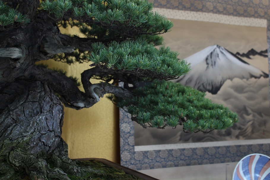 World Bonsai Convention Saitama, 2017