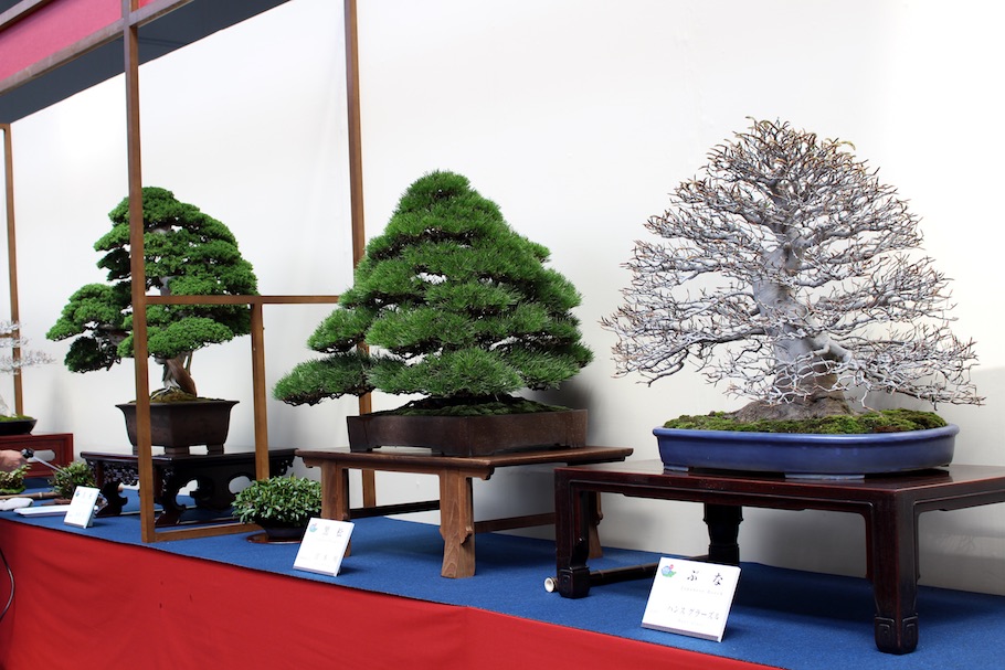 World Bonsai Convention Saitama, 2017