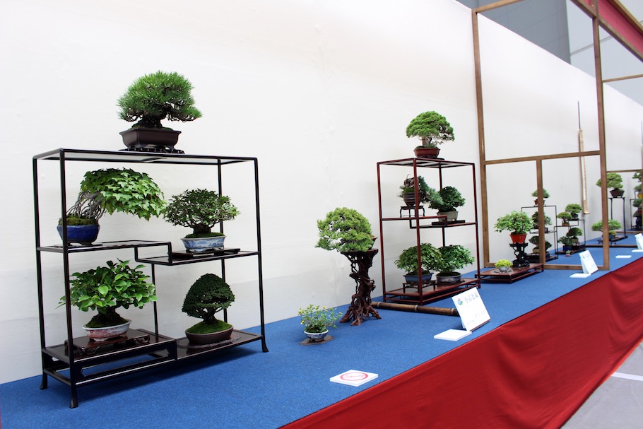 World Bonsai Convention Saitama, 2017