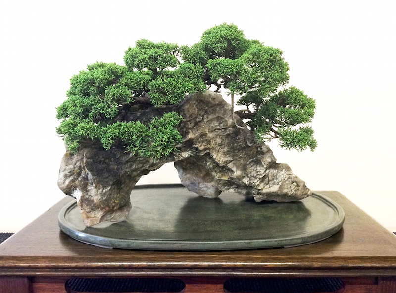 Rock bonsai