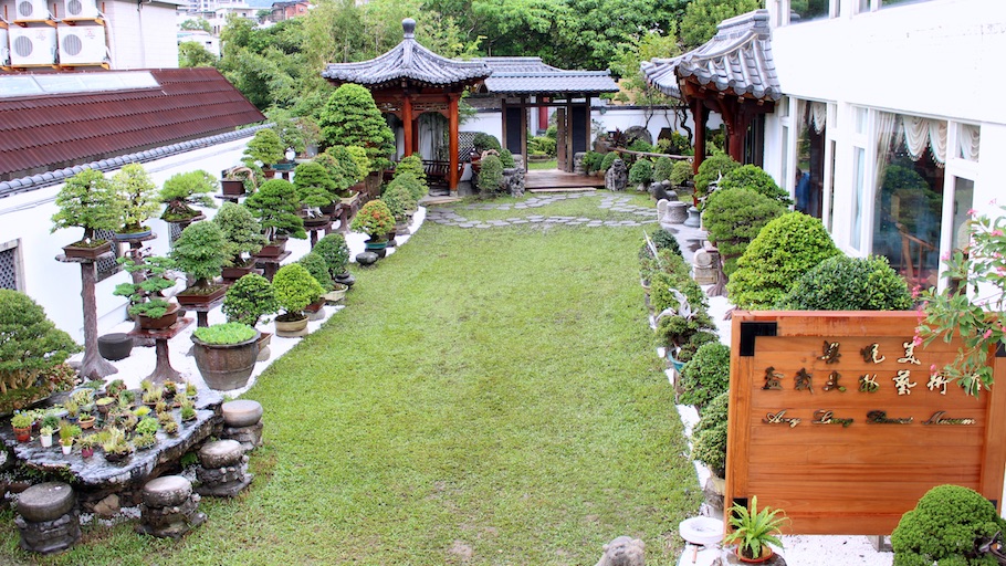 Amy Liang Bonsai Museum