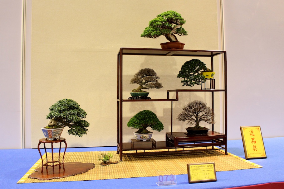 Hwa Fong Bonsai, Taiwan 2017