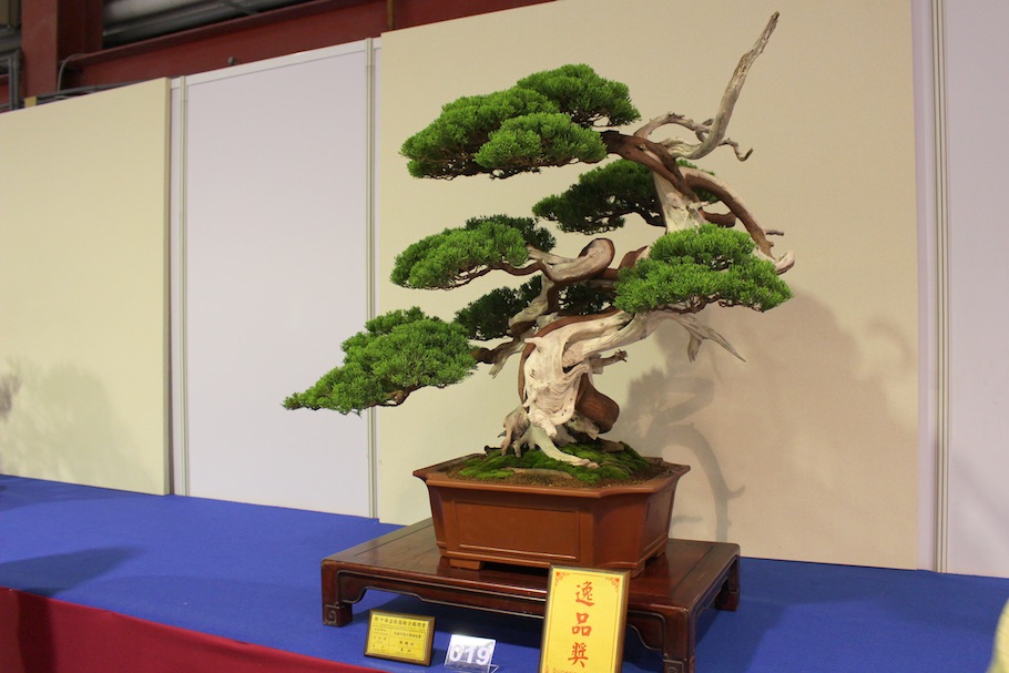 Hwa Fong Bonsai, Taiwan 2017