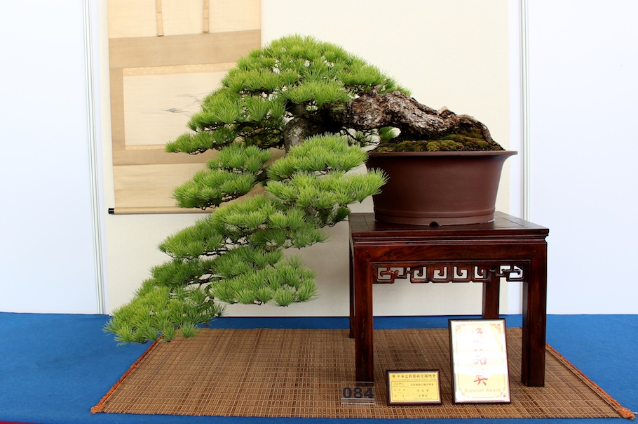 Hwa Fong Bonsai, Taiwan 2017