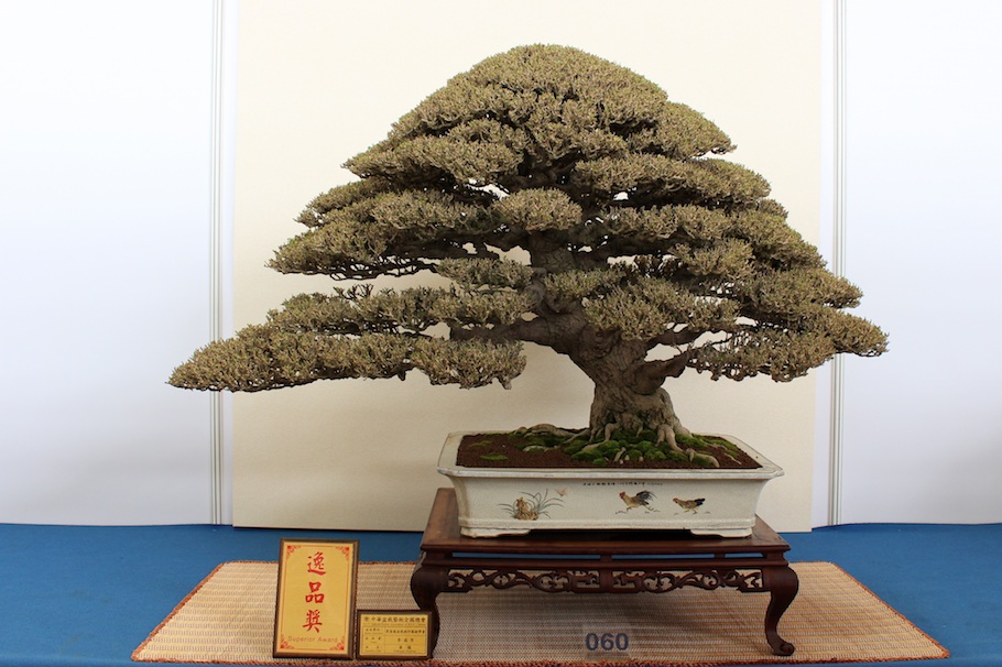 Hwa Fong Bonsai, Taiwan 2017