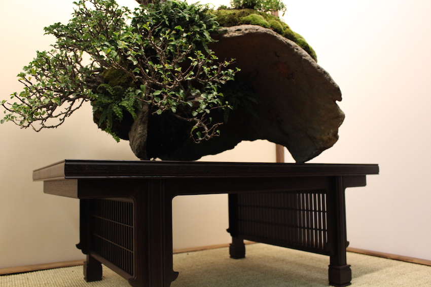 European Bonsai San exhibit